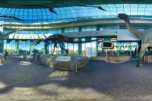 dinosaurs-museum-raleigh dinosaurs-museum-raleigh